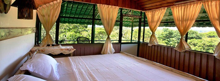 95/Eletaria Resort - Thekkady 09.jpg